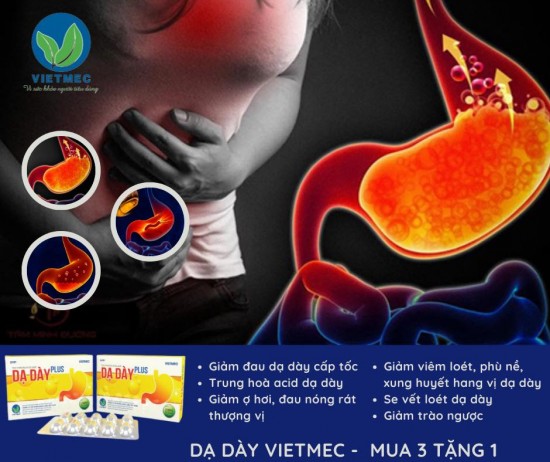 MAI MỰC (Ô TẶC CỐT): BÀI THUỐC TỰ NHIÊN TRỊ ĐAU DẠ DÀY HIỆU QUẢ