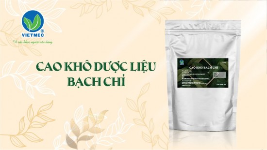 Bột cao khô Bạch Chỉ