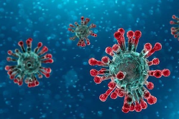 virus corona