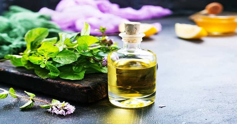 dược liệu là gì3