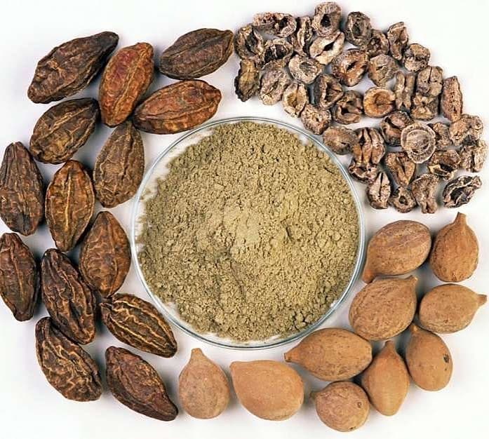 dược liệu là gì5