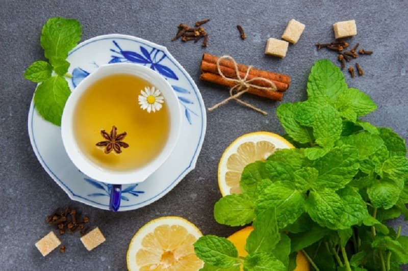 dược liệu là gì