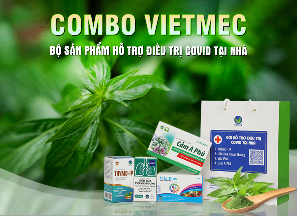 combo 4 hộp