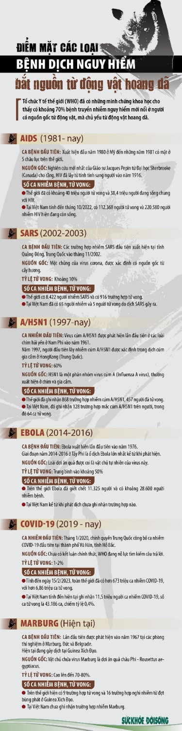 Inforgraphic - Các bệnh nguy hiểm từ động vật