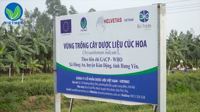 vung trong duoc lieu cuc hoa dat chuan gacp who vietmec 0 0 screens