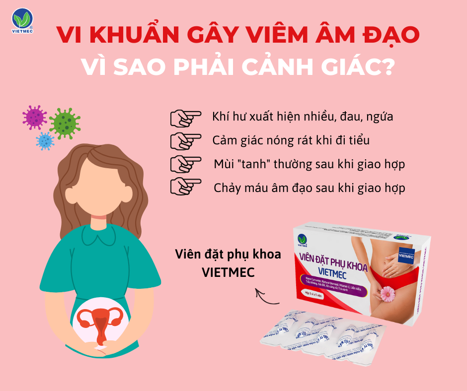 Vi khuẩn gây viêm âm đạo – vì sao cần cảnh giác?