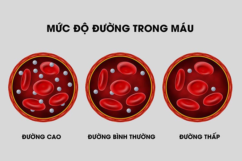 duong mau