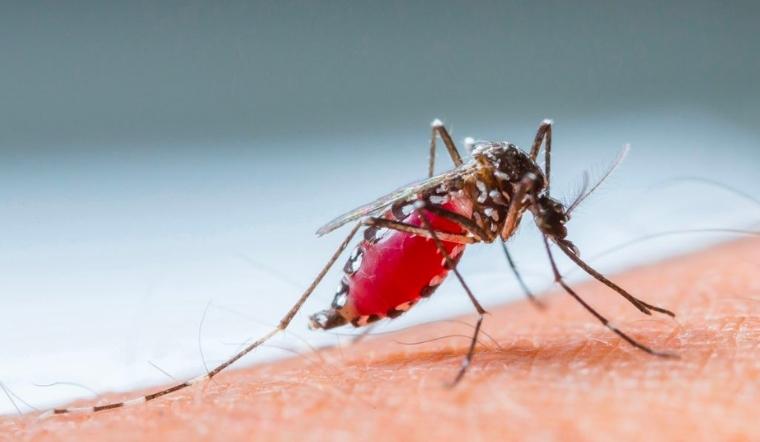 Sốt xuất huyết dengue 2023 đang là gánh nặng toàn cầu