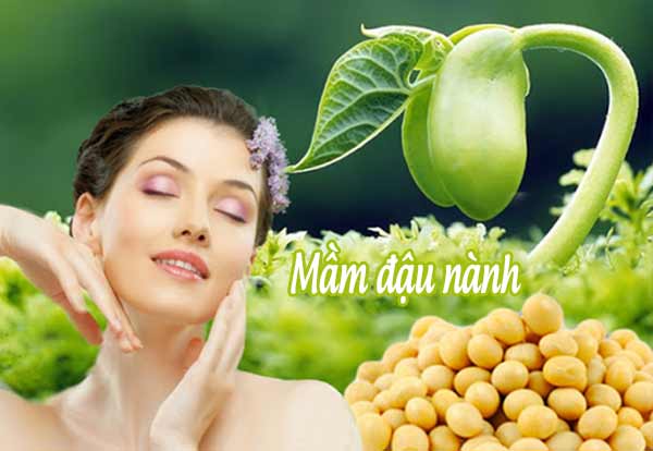 vien uong mam dau nanh nao tot nhat hien nay(2)