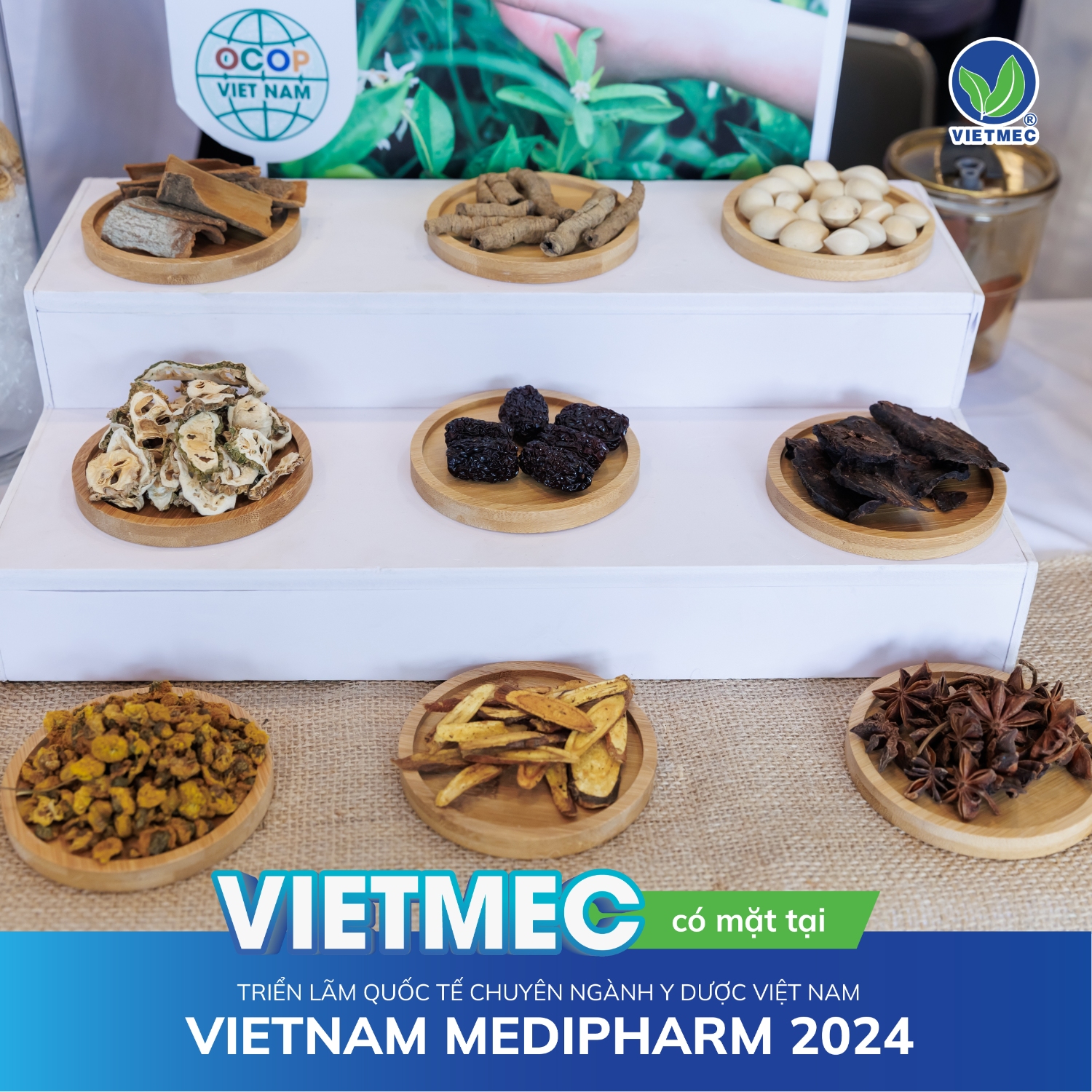 Vietmec medi pharm 028